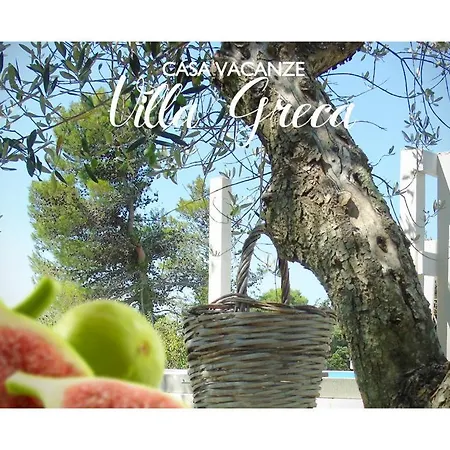 Apartment Greca