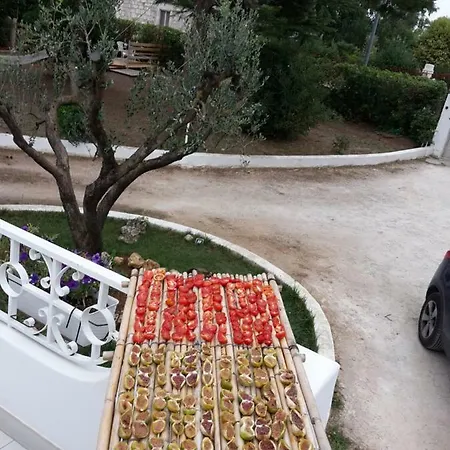Apartment Greca