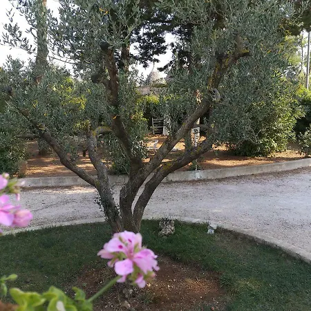 Apartment Greca