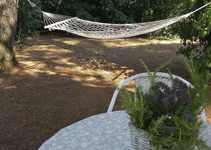 Greca Daire Martina Franca